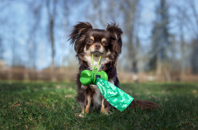 OKEYPETS: Setting Standards in Pet Products and Dog Waste Bags